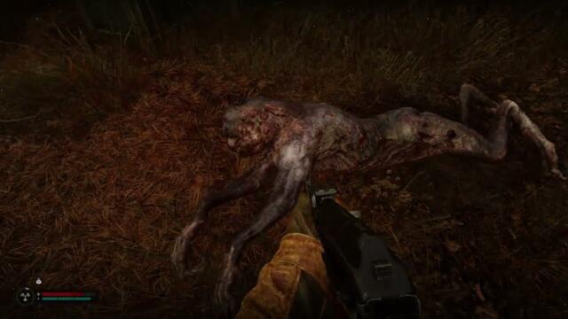 First meeting with new cat mutant Bayun in STALKER 2