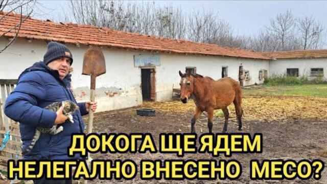 Спомени от Соца! Безхаберието на политиците ни доведе до криза и колапс в животновъдството! Обещания има, пари няма!