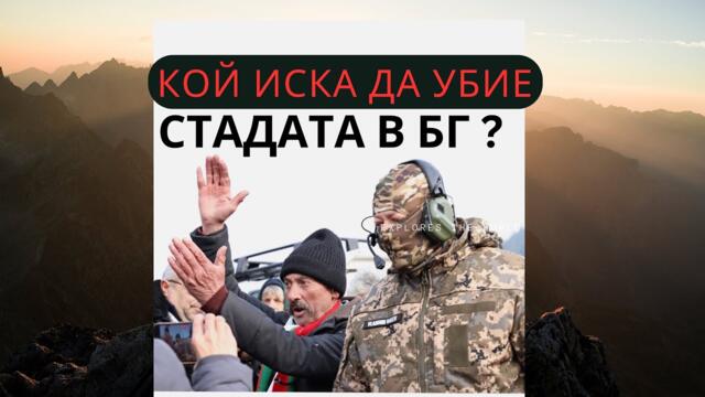 Заговора на държавата - КОЙ ИСКА ДА УБИЕ СТАДАТА В БЪЛГАРИЯ ? Чумата във Велинград