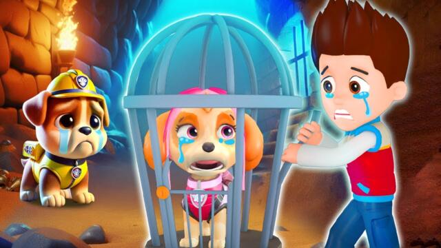 OMG! What Happened To SKYE? Please Save her RYDER | So Sad Story | Paw Patrol 3D Animation
