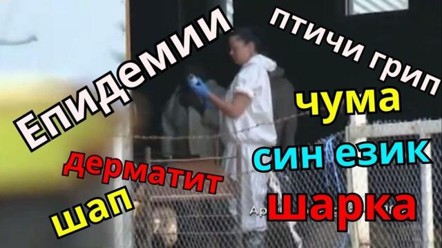 Епидемии по животните - през какво преминахме!