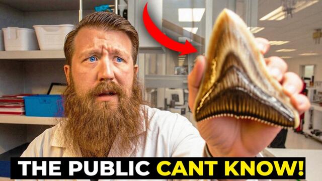 12 Military Mysteries That Will Leave You Speechless | Compilation