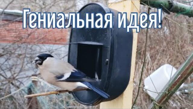 Почему я Раньше до этого не додумался, Как сделать Кормушку для птиц за 4 минуты!