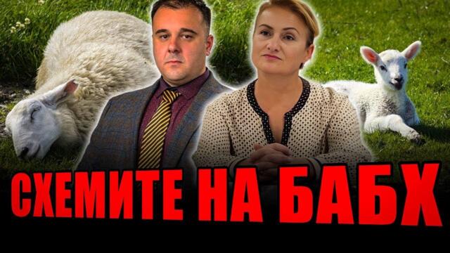 ИЗВЪНРЕДНО! Схемите на БАБХ