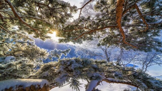 ❄️Зимни мечти ... (Giovanni Marradi)❄️