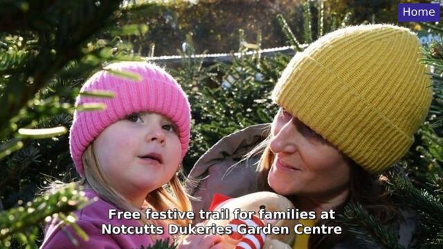 National World YourWorld Top Stories 20 December, 2024