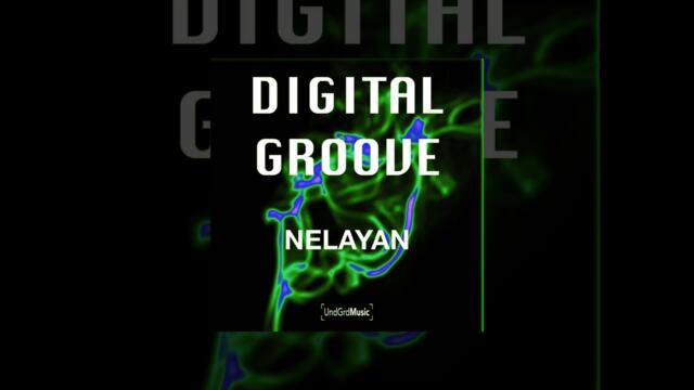 Nelayan - Digital Groove (Original Mix)
