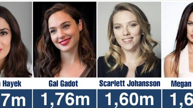 Hollywood Actresses Height Comparison | Shortest to Tallest Celebrities Ranking