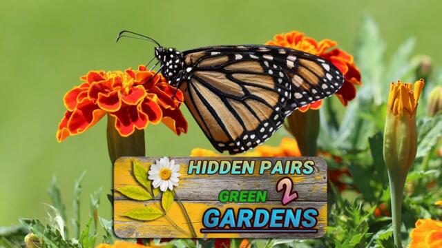 Hidden Pairs 2: Green Gardens Game Trailer