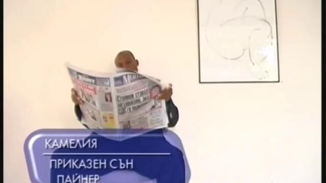 Камелия - Приказен сън