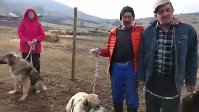 От Велинград, видео предавано на живо във фейсбук, Петък, 20 декември 2024 г. в 12:17