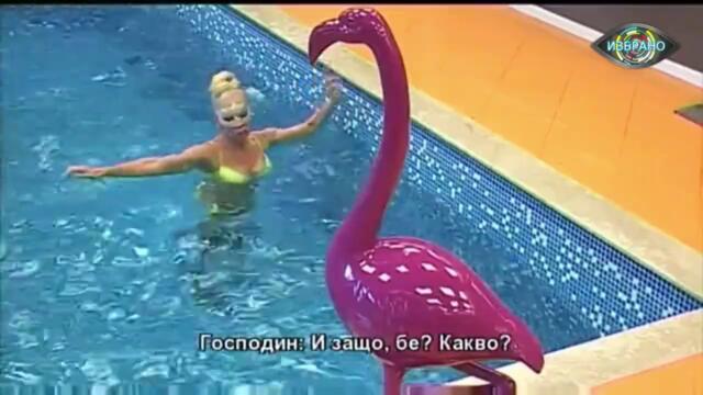 Big Brother: Любовна игра! Луна и Динко в басейна