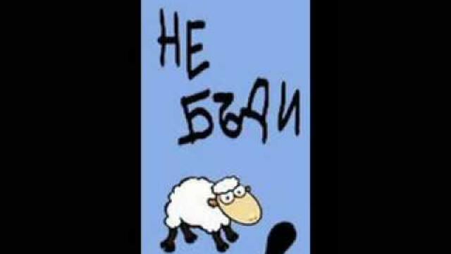 ТЪПА ОВЦА-РУСЛАН МЪЙНОВ