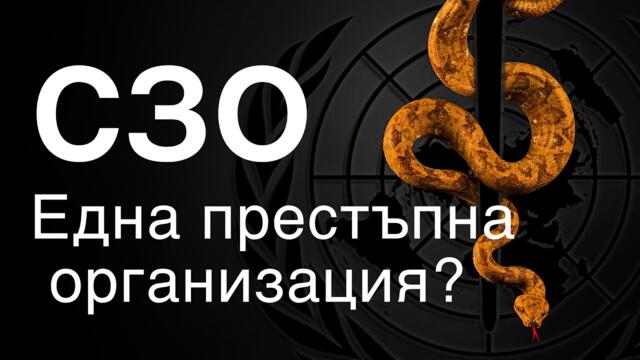 СЗО – една престъпна организация?
