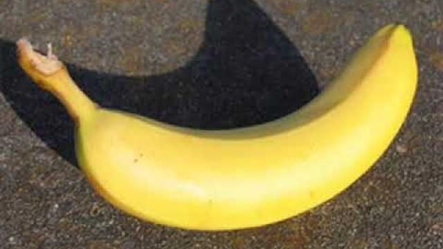 Сани - Ах Банана как се похваща и как се яде тоз банана песента звучи ето така