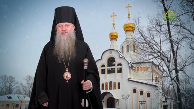 Рождественское поздравление епископа Биробиджанского и Кульдурского Луки