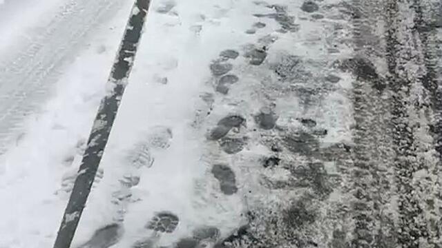 Watch man snowboarding down snowy Calderdale street