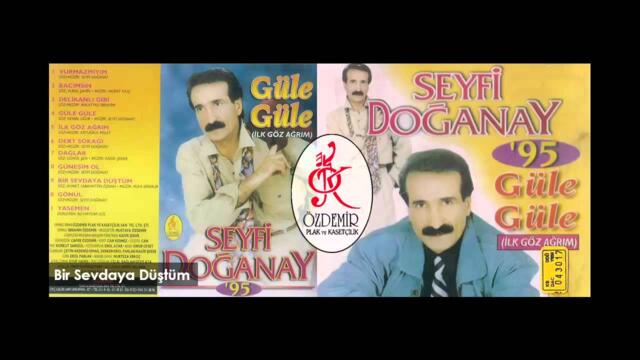Bir Sevdaya Düştüm | Seyfi Doğanay
