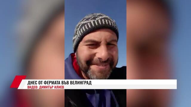 ДНЕС ОТ ФЕРМАТА ВЪВ ВЕЛИНГРАД / ВИДЕО: ДИМИТЪР ИЛИЕВ