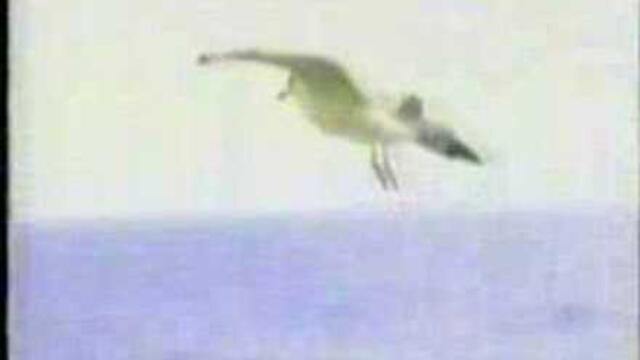 Nelina - Vmesto sbogom