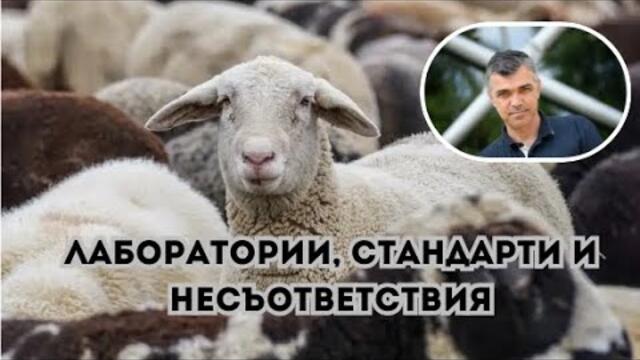 🔴 Доналд Тръмп и българските медии - политика