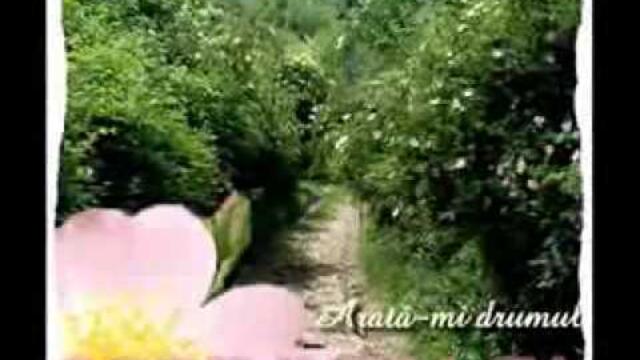 Florentin Leonard - Cu Tine ( 2008 )By Alexutza.flv ина пленено сърце анелия само тази нощ