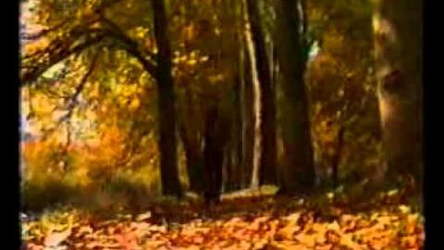 Halid Muslimovic - Mene je ucilo vreme.flv