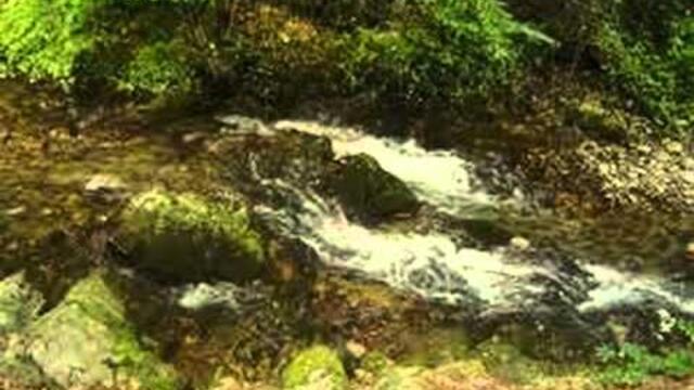 Turio Ljubiša pivo da se ladi....