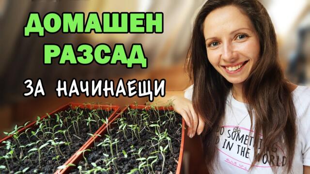 🌱🍅Как да си направим лесно разсад в домашни условия? Градинарство за начинаещи I Ванина Иванова