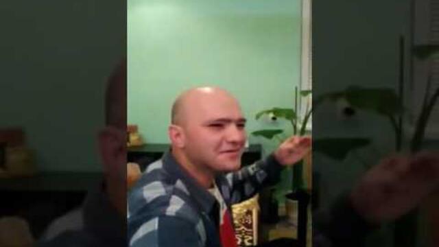 Маринов - Палаво Око