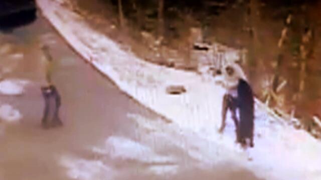 Giant Bear That Attacked Man Tests Positive for Rabies