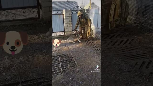 Хозяин вернулся к верному другу с СВО. #вернулсядомой #сво 🐶🐶🐶