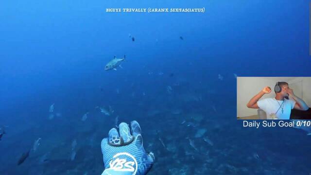 #1 Nigerian Call Of Duty Streamer