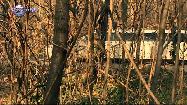 TSVETELINA YANEVA - AVTORAT E DRUG / Цветелина Янева - Авторът е друг, 2009