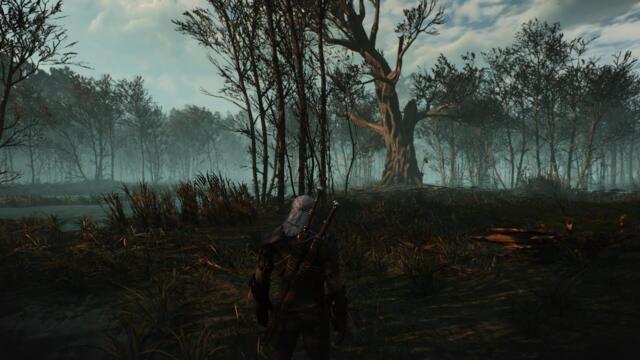 The Witcher 3: Wild Hunt | E3 swamp mod