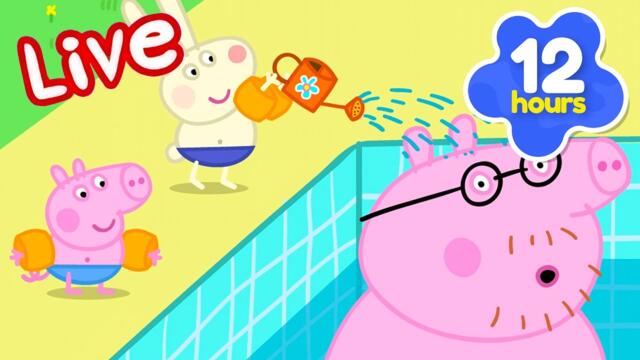 Peppa Pig Full Episodes - LIVE 🚨 THE BEST OF PEPPA SEASON 2⭐️ Kid's Cartoons 2025-02-09 22:32