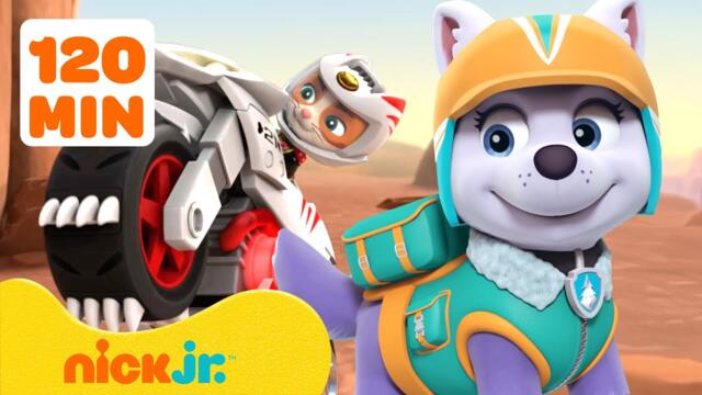 PAW Patrol is Everywhere But Adventure Bay! w/ Everest | 120 Minutes | Nick Jr.