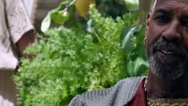 Gladiator II 2024 English Movie 2