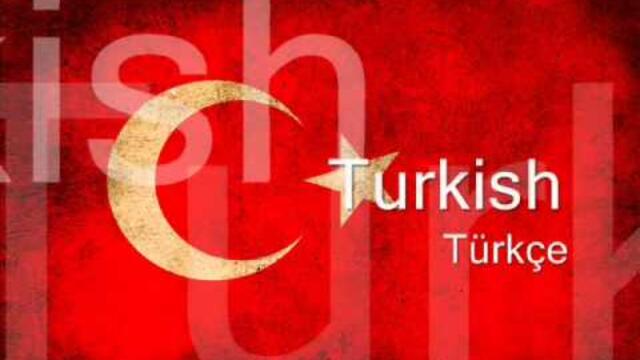 Winx Opening. One-Line Multilanguage. 28 Languages!