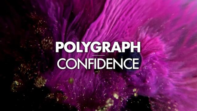 Polygraph - Confidence (Original mix)