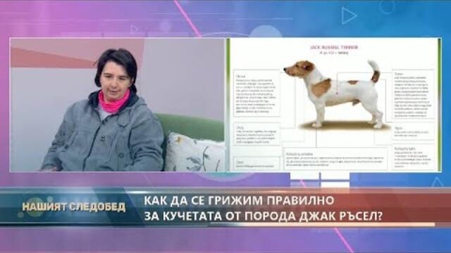 "Нашият следобед" с БСТВ (18.02.2021), гост: д-р Таня Гетова, ветеринар