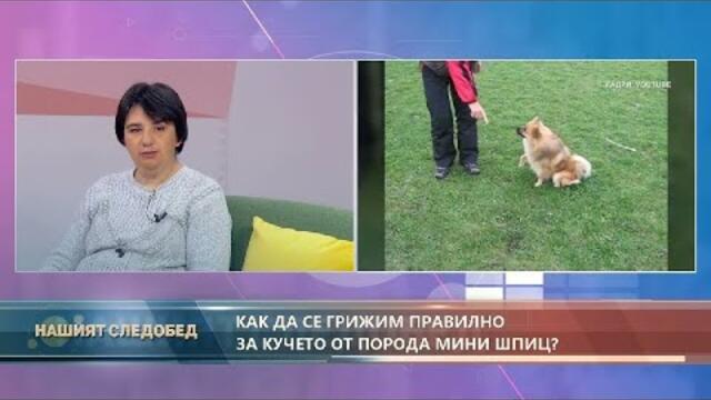 "Нашият следобед" с БСТВ (4.11.2020), гост: д-р Таня Гетова, ветеринар