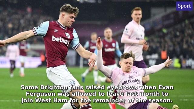 Sussex World Morning Update 19 February, 2025