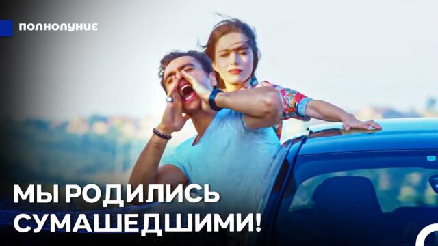 Свободная Жизнь – Жизненная Философия Дениза - Полнолуние