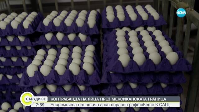 Епидемията от птичи грип в САЩ придобива нови размери