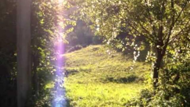 ВЕНЕТА РАНГЕЛОВА - Спри, почакай, мое ЛЯТО! Отидоха ми гащите кат я чуя таз хубавица венета рангелова