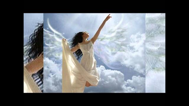 Венета Рангелова - Асфалтова пътека (1988 г.)