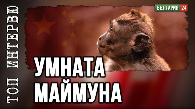 Доц. Вацев: Умната маймуна, или от къде наднича Китай?