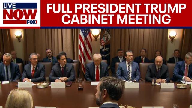Trump Cabinet Meeting: President Trump hosts meeting with Elon Musk, DOGE | FULL