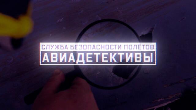 Военная приемка. Служба безопасности полетов. Авиадетективы.
